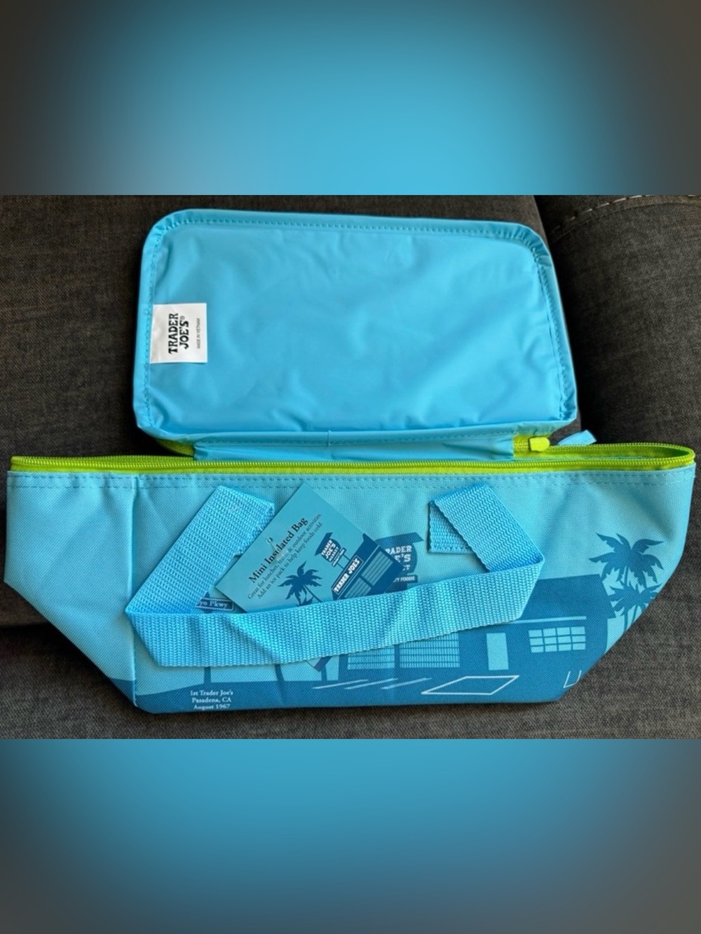 Trader Joe’s Mini Insulated Bag